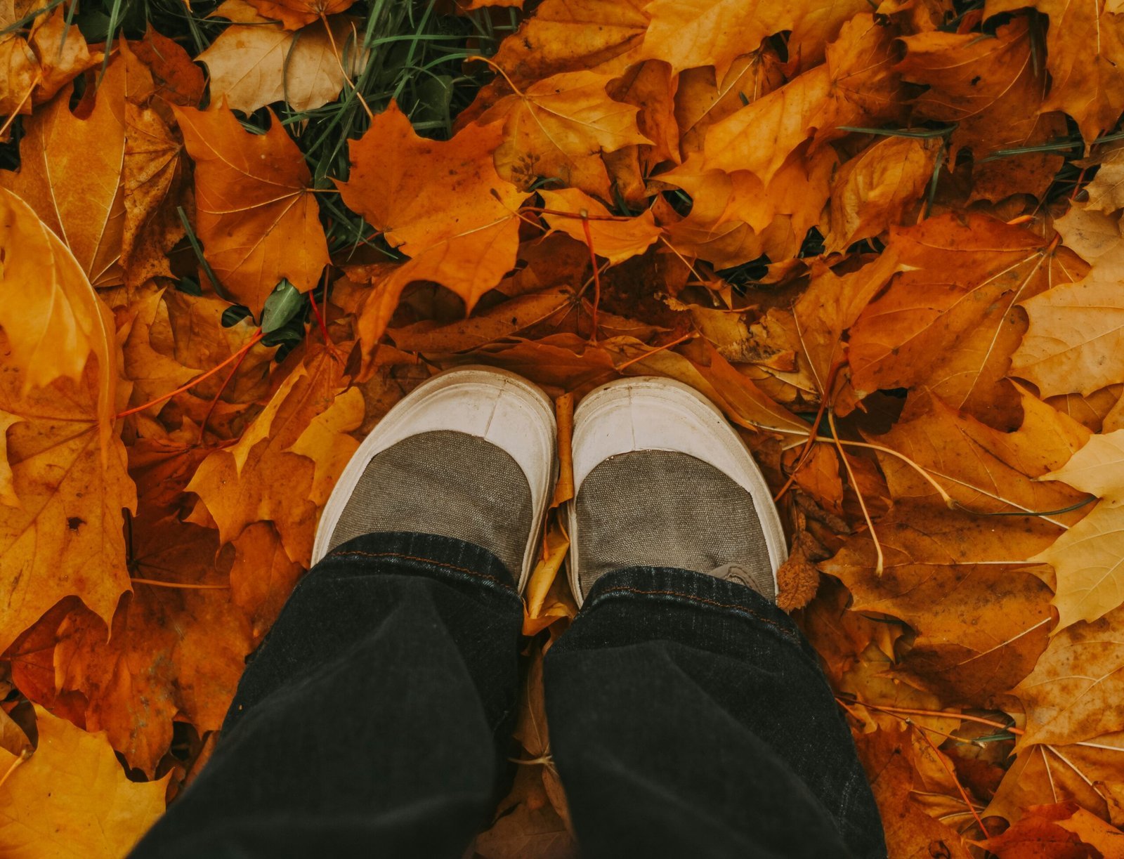 A person standing in a pile of leaves