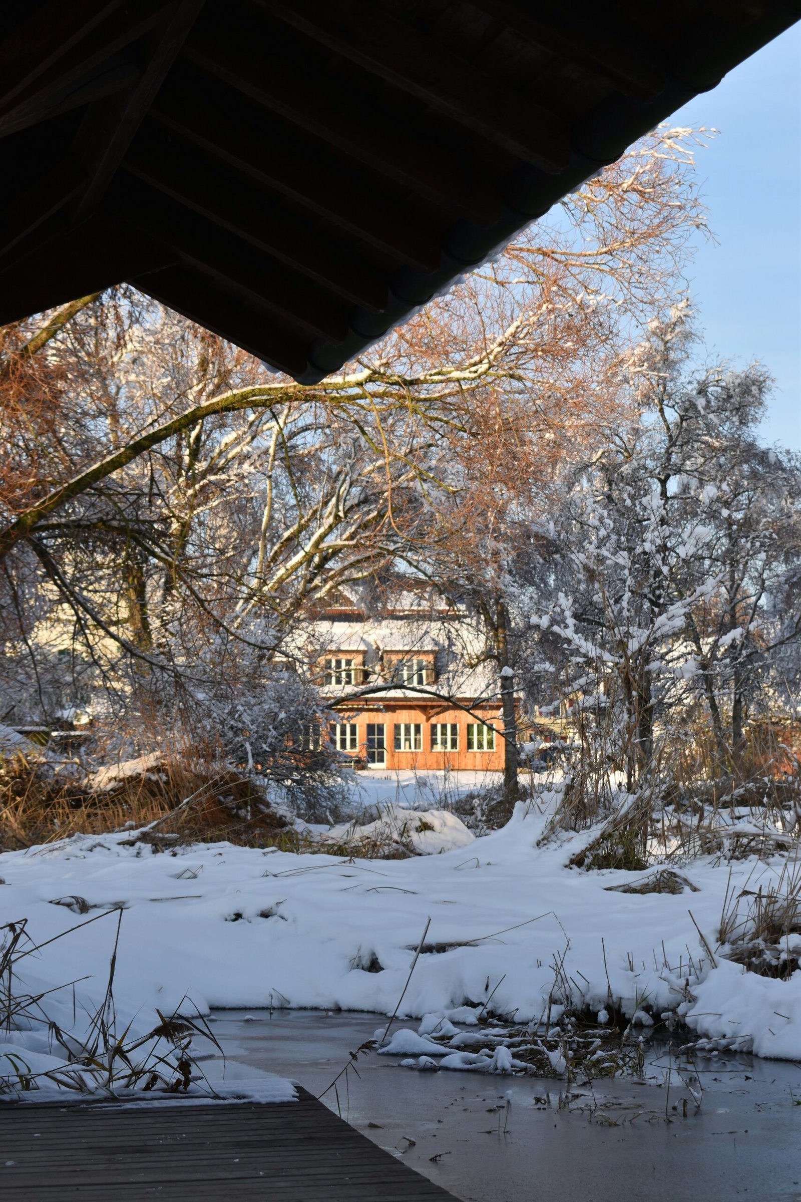 A snow covered landscape with a house in the background